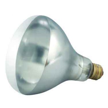 EHL-BW- Heat Lamp Bulb