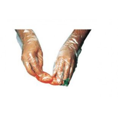 GL-MEDIUM/P6002-EA- Glove Poly Medium