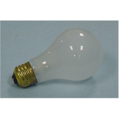 1538- 90 Watt Light Bulb