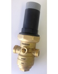 PRESREG-1/20BR- 1/2" Brass Pressure Regulator