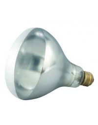 EHL-BW- Heat Lamp Bulb