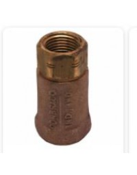 B-CVV1-2- Check Valve