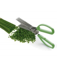 120806- Herb Scissors