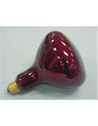 381033 - Bulb